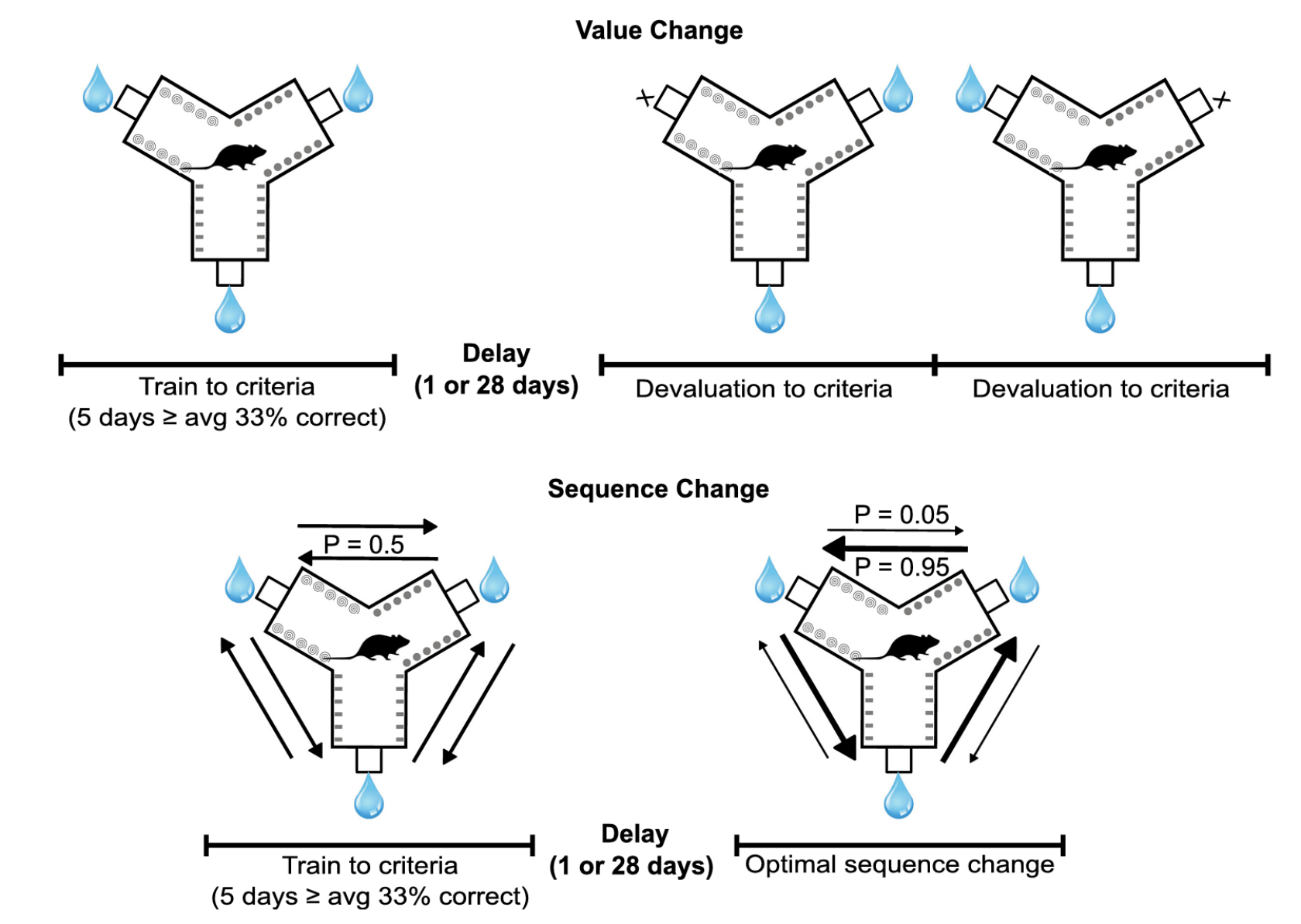 Systems consolidation impairs behavioral flexibility