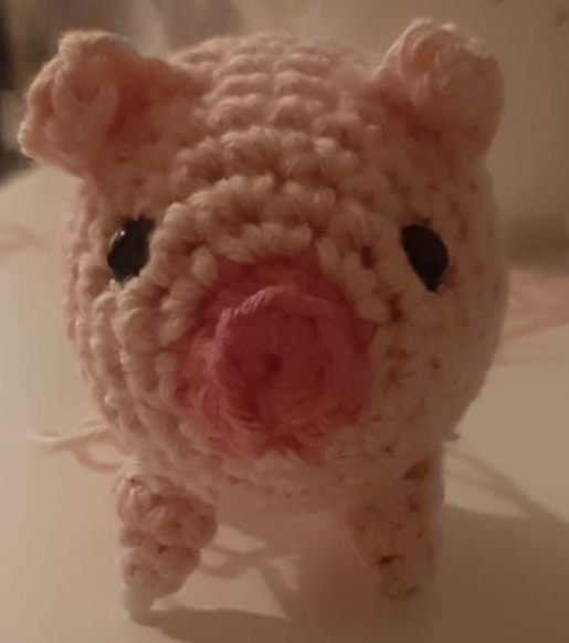 pig