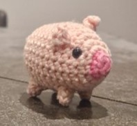 pig